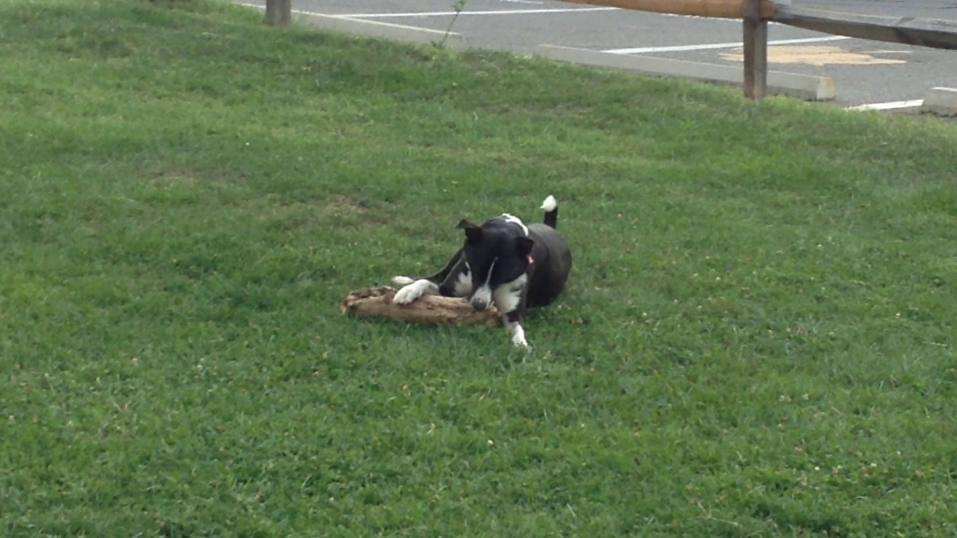Fun with Stick
